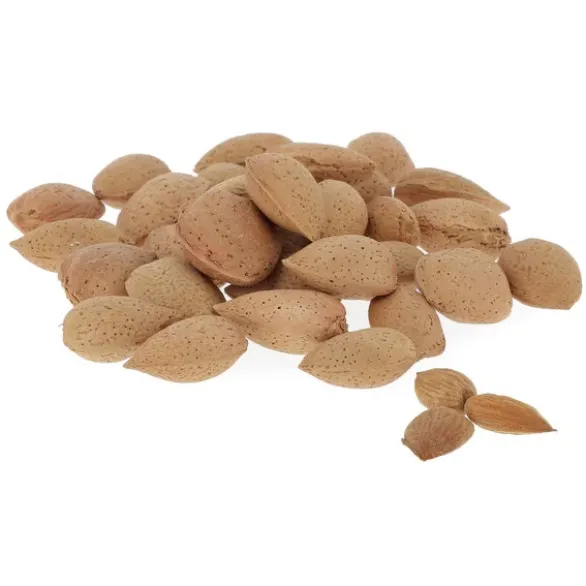 Amande Fraiche Bio