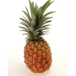 Ananas Sweet (pièce) Bio