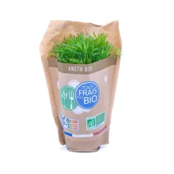 Aneth Pot Bio