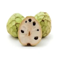 Anone Chirimoya Bio
