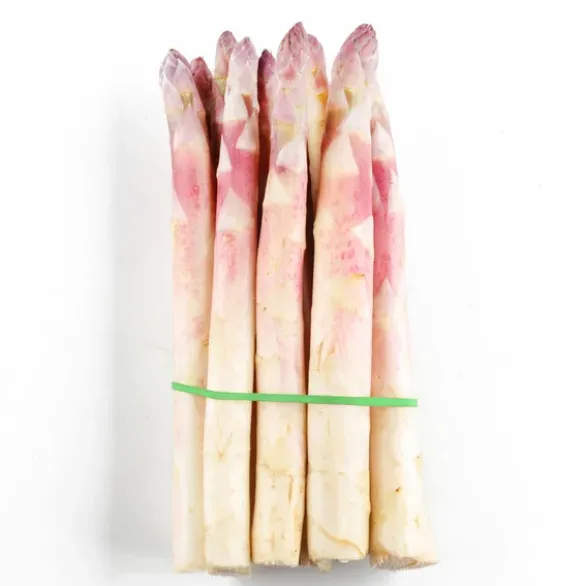 Asperge Violette Botte 250g Bio