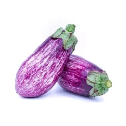 Aubergine Tigrée Bio