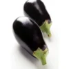 Aubergine Violette Bio