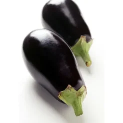 Aubergine Violette Bio