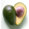 Avocat Hass Bio