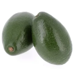Avocat Lisse (pièce) Bio