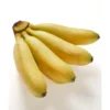 Banane Frécinette Bio