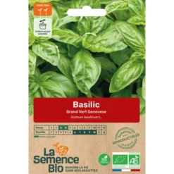 Basilic Genovesesemence 0,5g