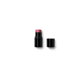 Baume stick lèvre joue 03 bois rose 6,1g