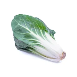 Blette (pièce) Bio