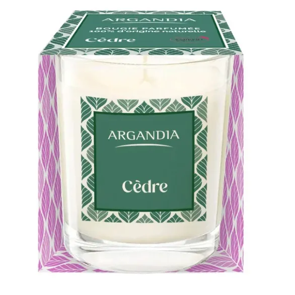 Bougie cèdre 75g