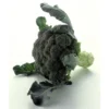 Brocoli Sauvage Botte Bio