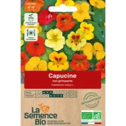 Capucine non grimpantesemence 2,2g
