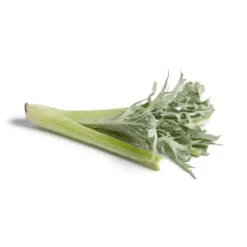 Carde Bio