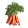 Carotte Botte Bio