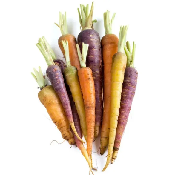 Carotte Vrac Couleur Bio
