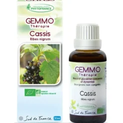 Cassis (Ribes nigrum)