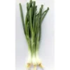 Cebette Botte Bio