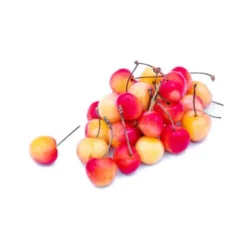 Cerise Bicolore Bio
