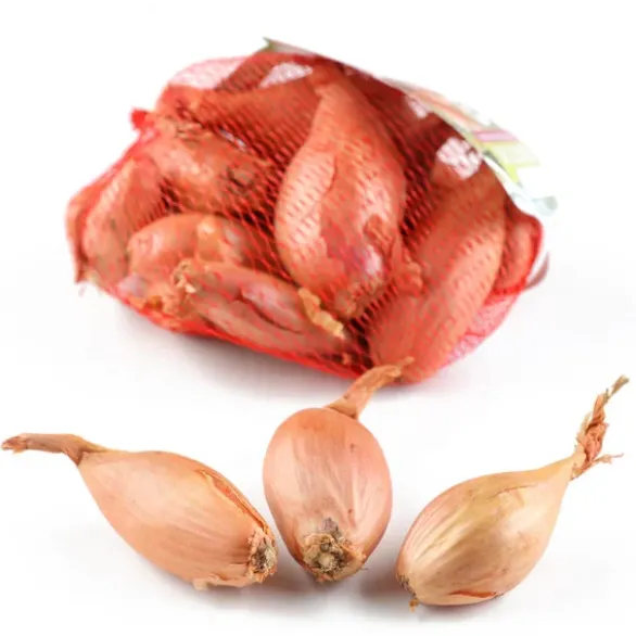 Échalote Filet Bio