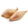 Échalote Vrac Bio