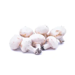 Champignon Blanc Bio