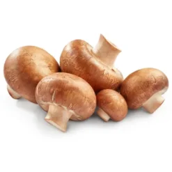 Champignon Blond Bio