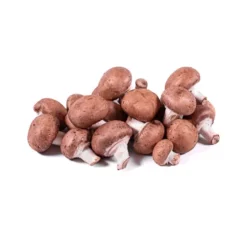 Champignon Brun Bio