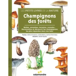 Champignons des forêts