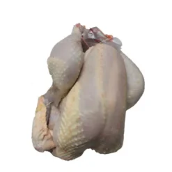 Chapon PAC env. 3.2kg