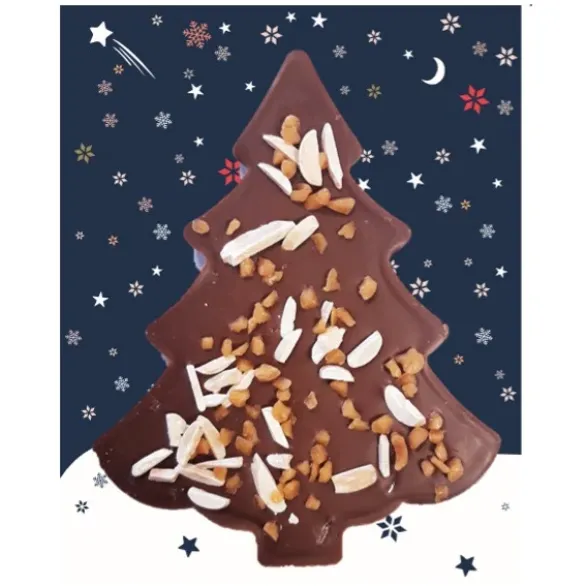 Chocolat lait éclat amande noisette 60g