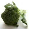 Chou Brocoli Bio