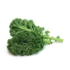 Chou Curly Kale Bio