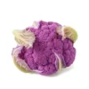 Chou-Fleur Couleur (pièce) Bio