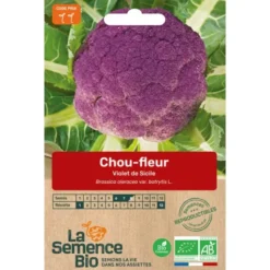 Chou-fleur Violet de Sicile semence 0,5g