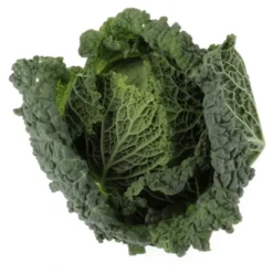 Chou Frisé (pièce) Bio