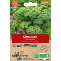 Chou Kale frisé Halbhoher semence 0,6g