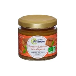 Chutney d'abricot pain d'épices 125g