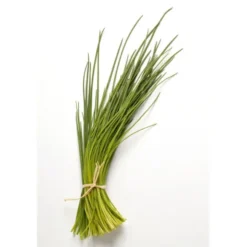 Ciboulette botte Bio