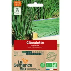 Ciboulette communesemence 0,6g