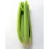 Céleri Branche Bio