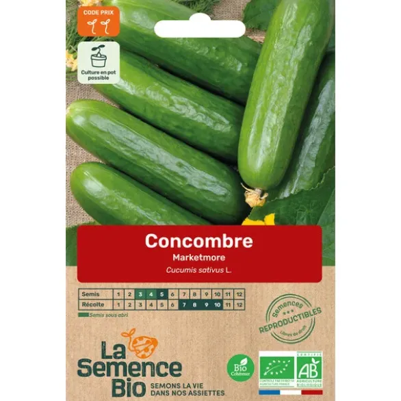 Concombre marketmoresemence 0,7g
