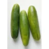 Concombre Noa Bio