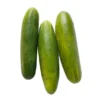 Concombre Noa (pièce) Bio
