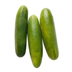 Concombre Noa (pièce) Bio
