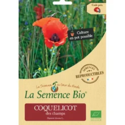 Coquelicot des champssemence 0,07g