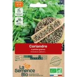 Coriandre petite graine semence 2,2g