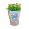 Coriandre Pot Bio