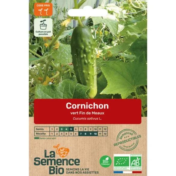 Cornichon vert Fin de Meaux semence 0,6g