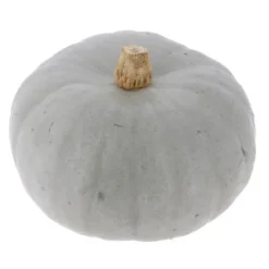 Courge Bleu de Hongrie Bio